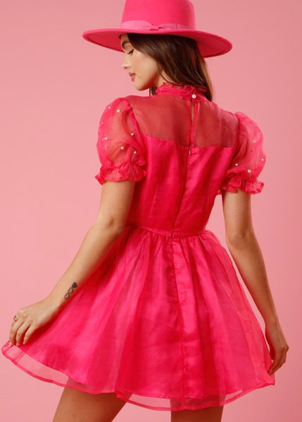 Pretty In Pink Organza & Pearl Dress