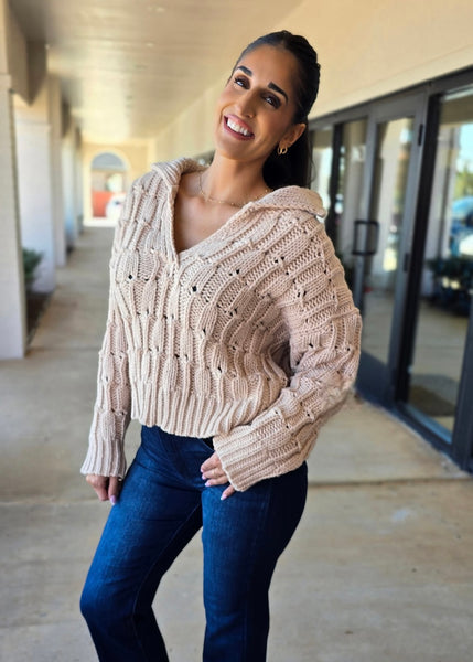 Classy Season Collared Oatmeal Sweater