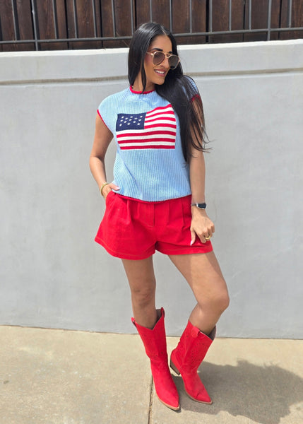 Proud American Flag Blue Sweater Vest