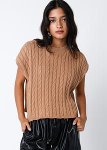 Never Let Me Go Brown Cable Knit Sweater Top