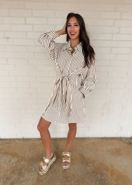 Let There Be Joy Brown Striped Tie Dress