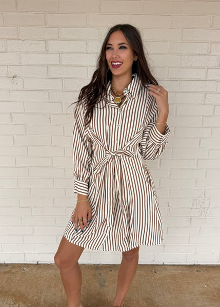 Let There Be Joy Brown Striped Tie Dress