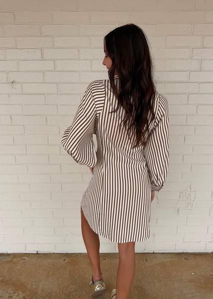 Let There Be Joy Brown Striped Tie Dress