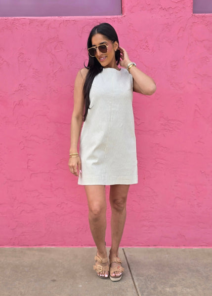 Girl Time Cream Pin Striped Denim Mini Dress