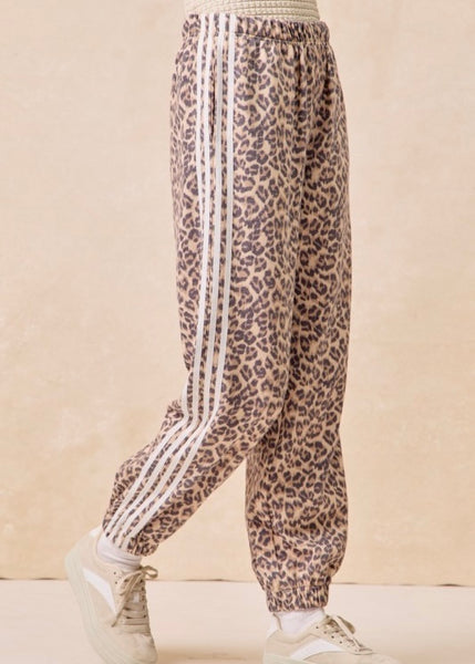 Side Lines Leopard Print Track Pant