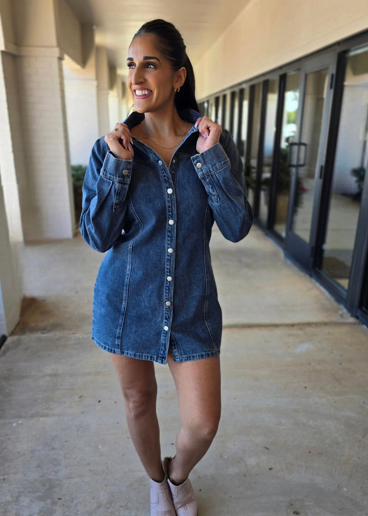 I'm A Survivor Denim Mini Dress LARGE
