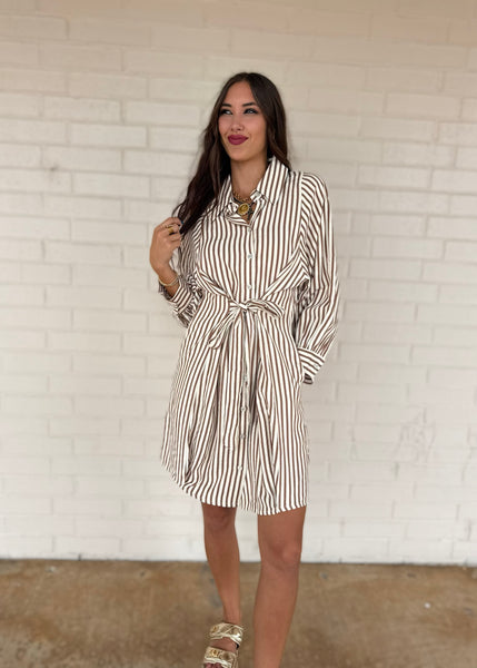 Let There Be Joy Brown Striped Tie Dress