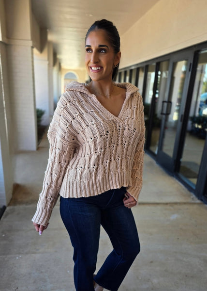 Classy Season Collared Oatmeal Sweater