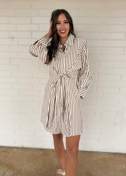 Let There Be Joy Brown Striped Tie Dress