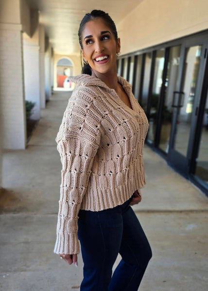 Classy Season Collared Oatmeal Sweater