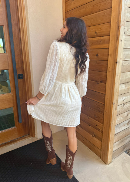 Picturing Your Dreams Textured Lace Long Sleeve Mini Dress