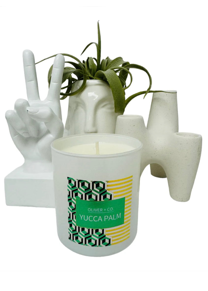 Oliver + Co:  Yucca Palm Candle 12 oz