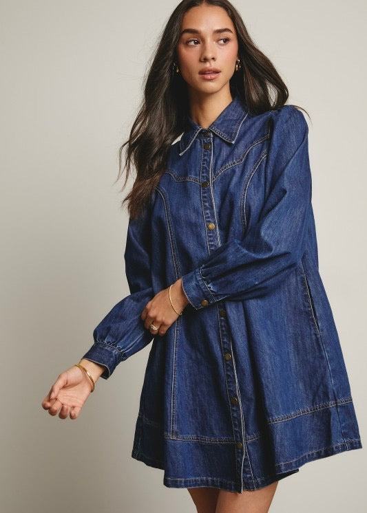 Light Up My World Denim Dress