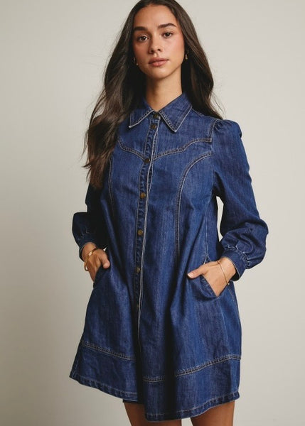 Light Up My World Denim Dress